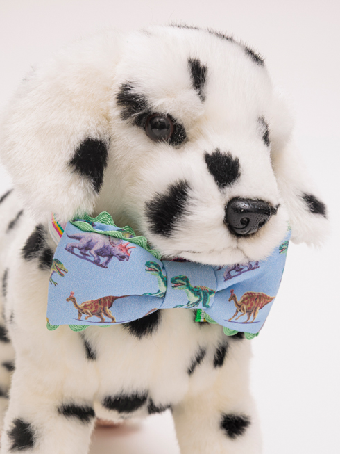 BASIL RAY | ���������p���l�N�^�C- �T�b�N�X�_�C�i�\�[